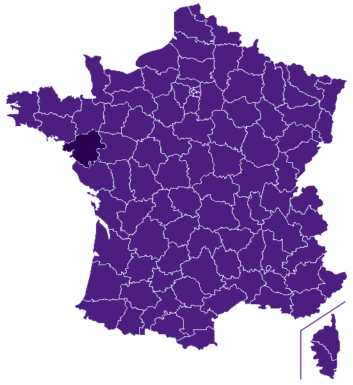 Devis piscine Loire-Atlantique