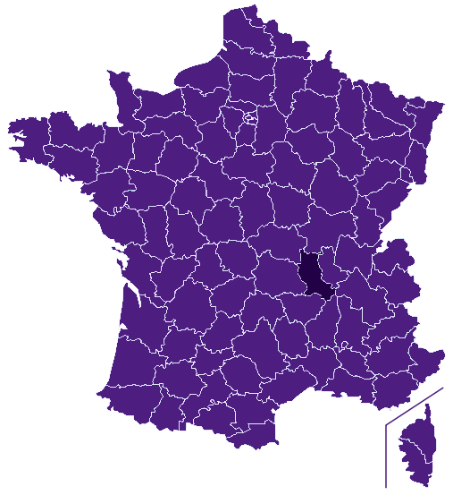 Devis piscine Loire