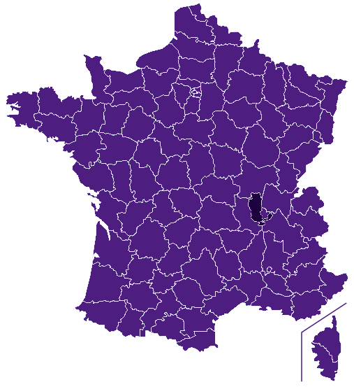 Devis piscine Rhône