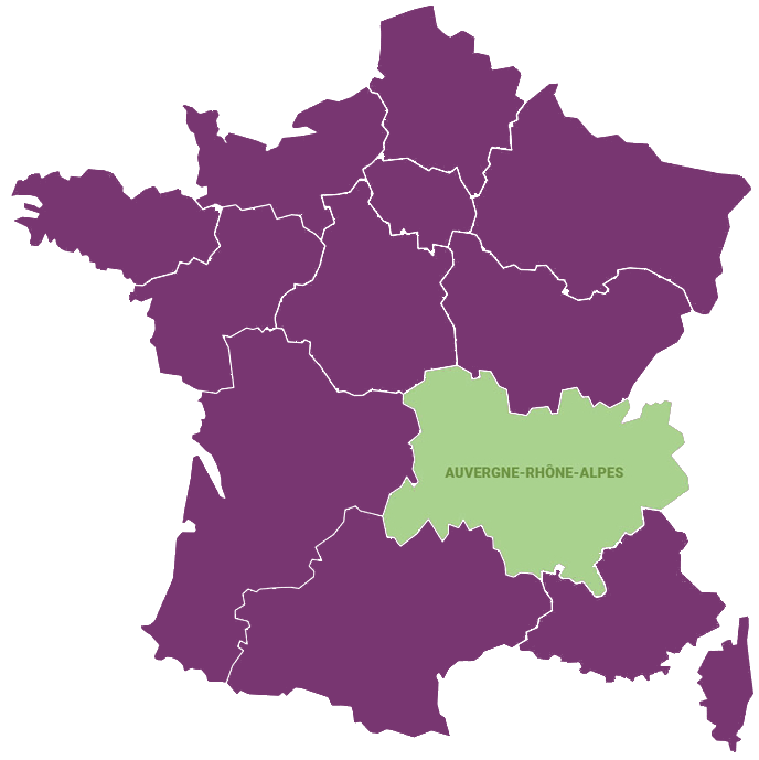 Devis piscine Auvergne-Rhône-Alpes