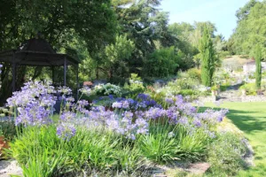 Amboise Paysage by ADH – Paysagiste Pisciniste Spa – Tours à Nazelles-Négron
