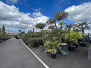 Piscines de France – Alsacienne de Paysage – Constructeur de piscine et Paysagiste à Rschwoog