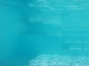 Le Pisciniste à Saint-Alban