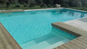 FRANCOIS SWIMMING POOLS à Puymirol