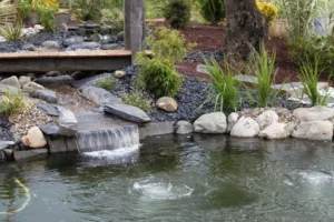 Koi Prestige à Viella
