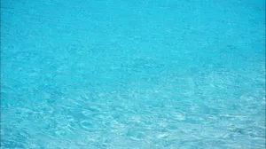 Piscine service 34 à Montpellier