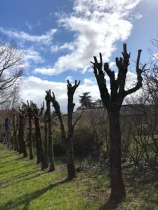Gouttenoire andré ( Sud ouest Paysage ) à Pollionnay