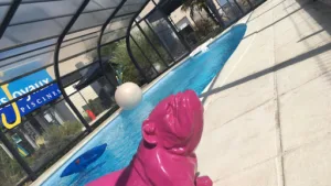 DESJOYAUX 86 (SAS AQUA PICTA) à Poitiers
