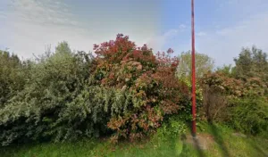 EBR Loisir Environnement à Loutehel