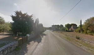 Les Myosotis du Lot à Cadrieu